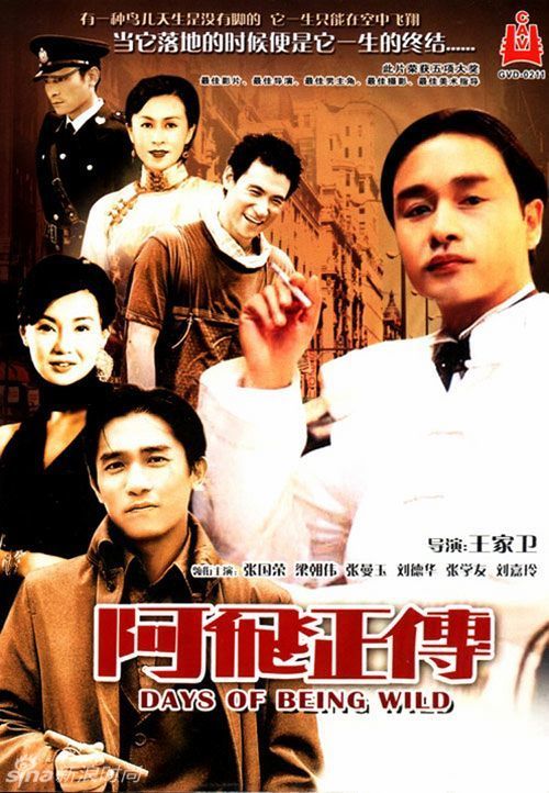 定制阿根廷